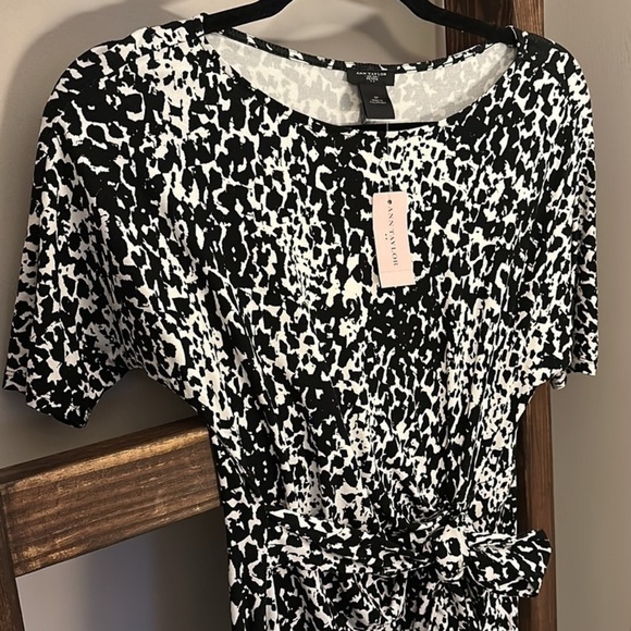 Ann Taylor Black and White Sheath Mini Dress NWT Petite - Picture 8 of 13